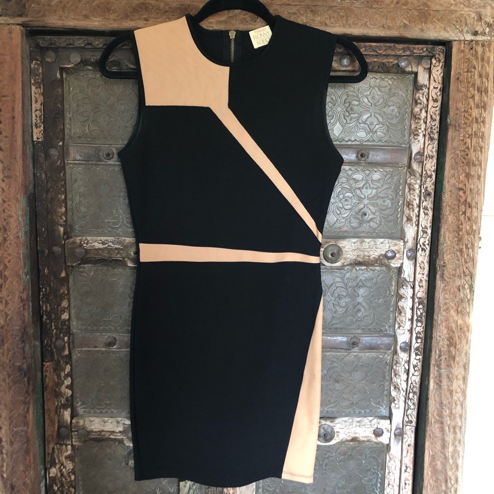 Torn By Ronny Kobo Body Con Dress